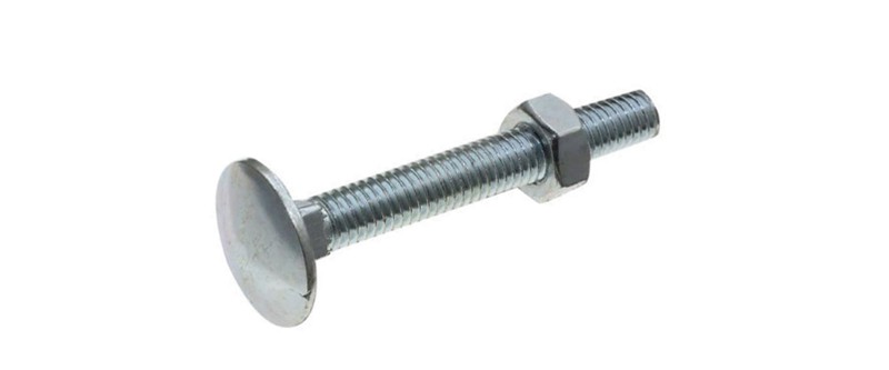 carriage bolt